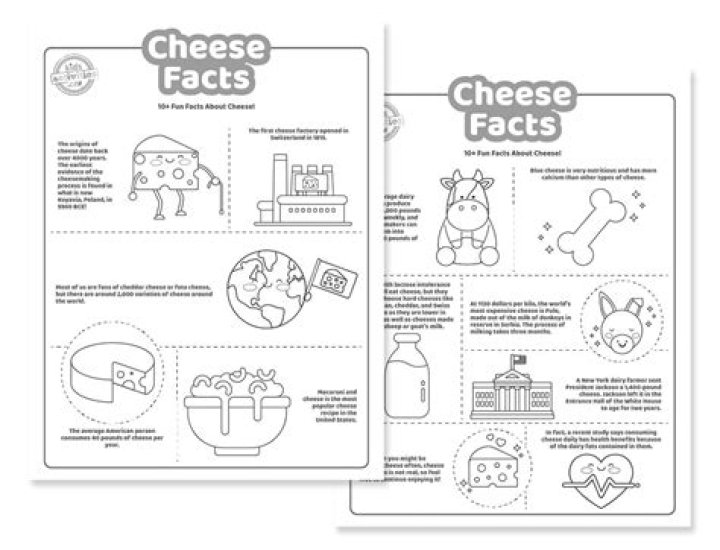 What is the basic principle of making cheese?