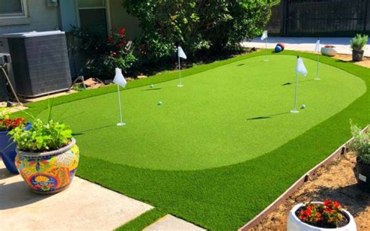 What is the best backyard turf?