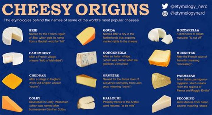 What is the best cheese type?