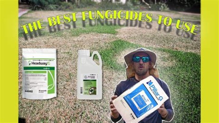 What is the best fungicide for trees?