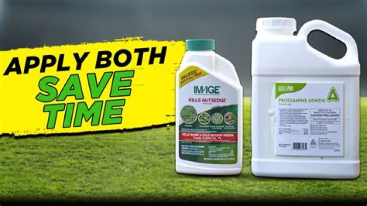 What is the best herbicide for poa annua?