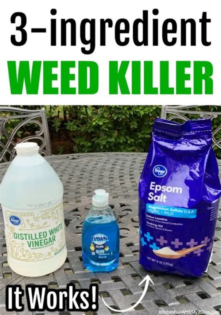 What is the best non toxic weed killer?