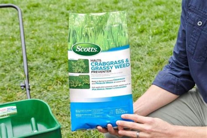 What is the best product to kill crab grass?