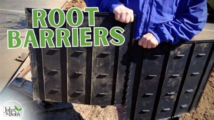 What is the best root barrier?