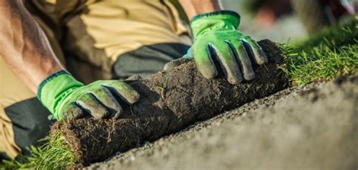What is the best soil to lay turf on?