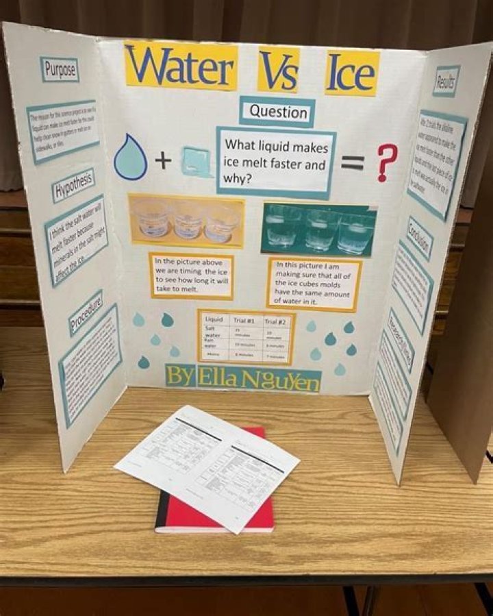 What is the best topic for science fair?