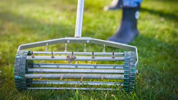 What is the best way to rejuvenate your lawn?