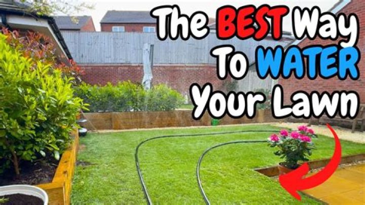 What is the best way to water your lawn?