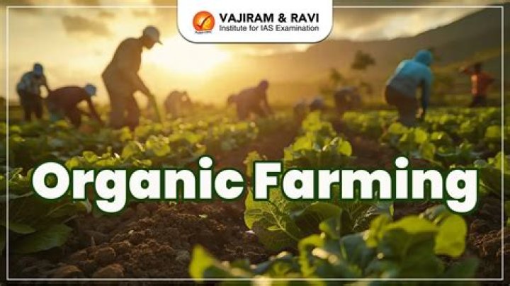 What is the biggest downside to organic farming?