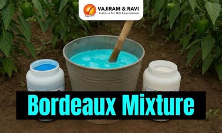What is the Bordeaux mixture used for?