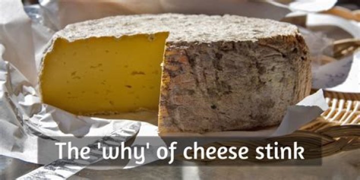What is the cheese that smells bad?