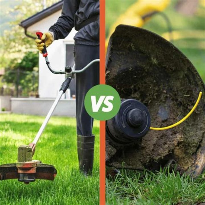 What is the difference between a line trimmer and a brush cutter?