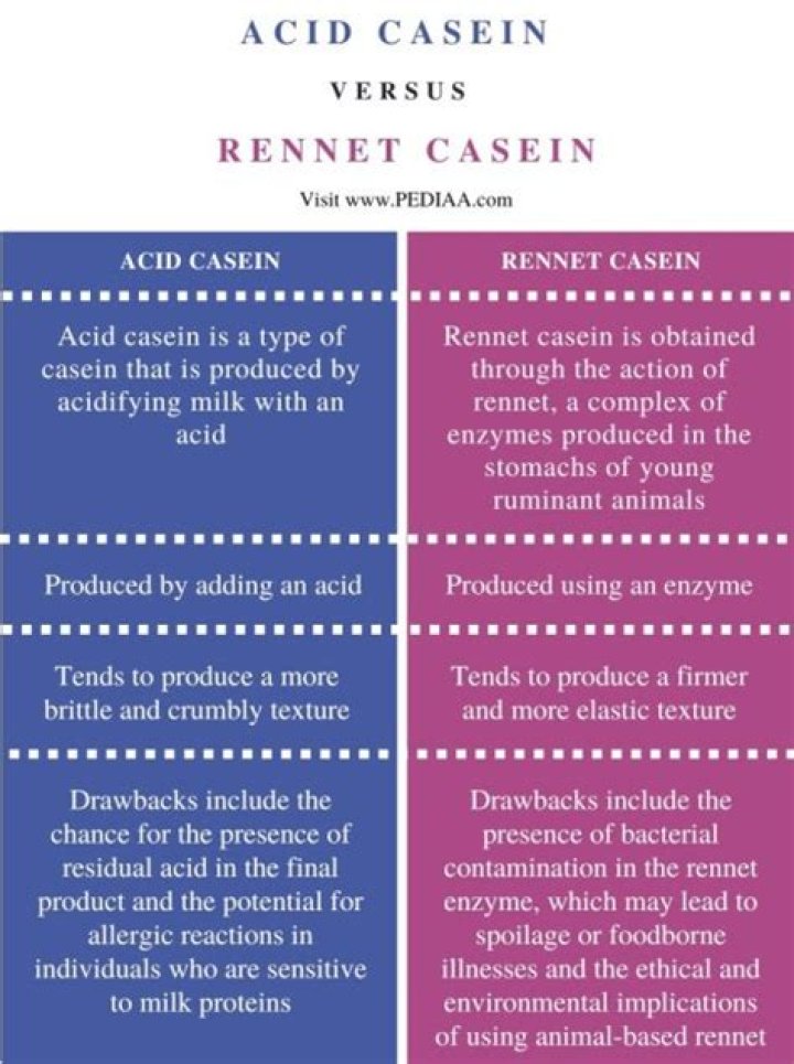 What is the difference between acid casein and rennet casein?