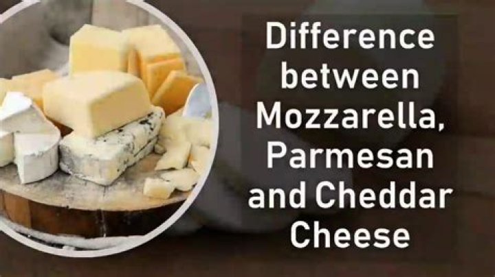 What is the difference between mozzarella cheese and white cheese?
