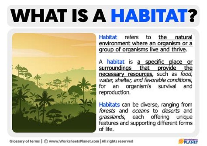What is the habitat of tape grass?