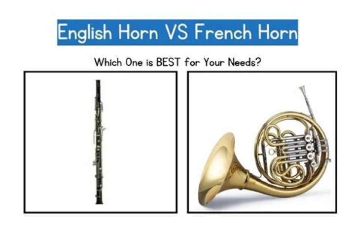What is the horn in a speaker?