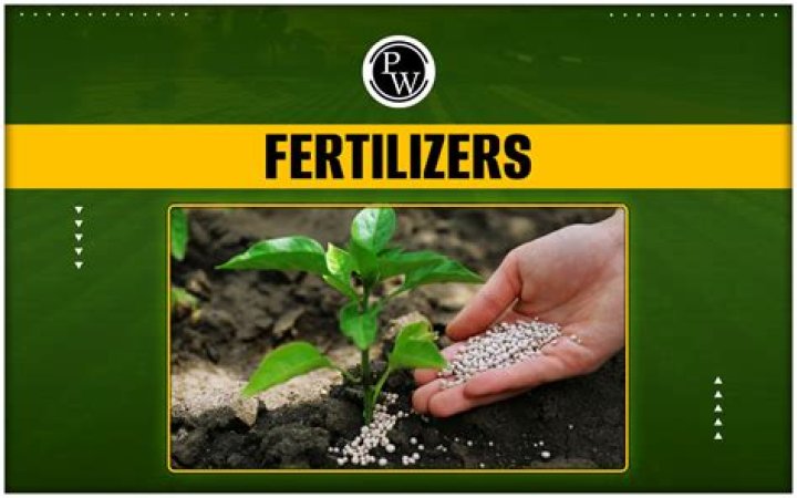 What is the importance of fertilizer?