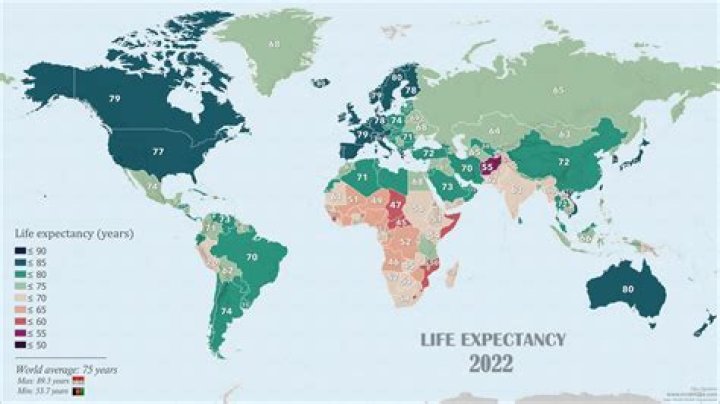What is the life expectancy in Niger 2020?