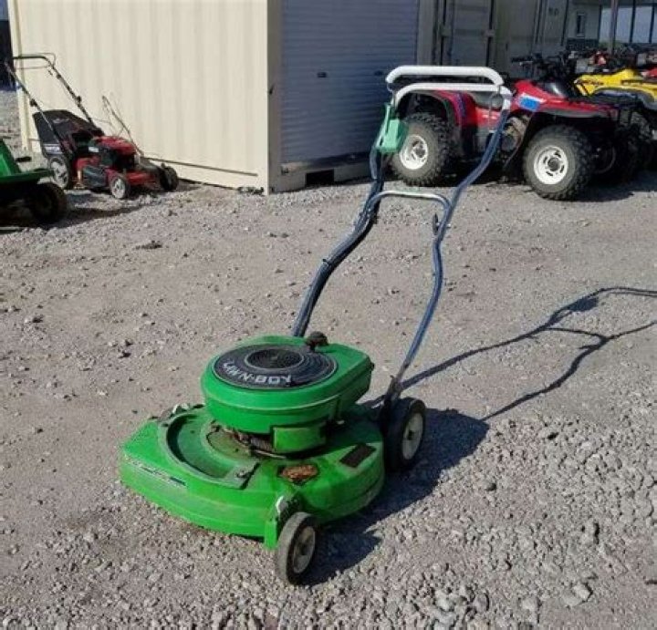What is the main idea of lawn boy?