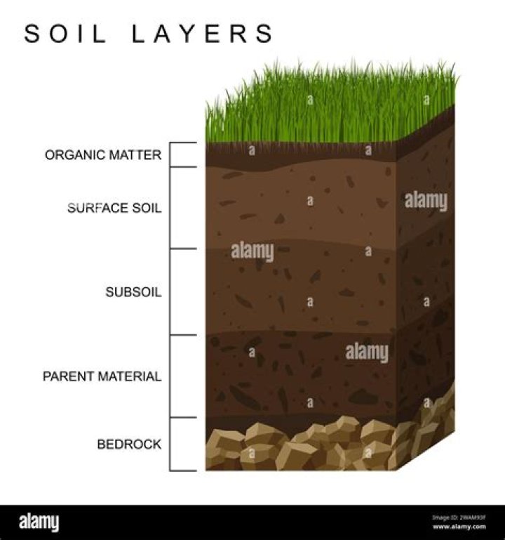 What is the meaning of top soil?