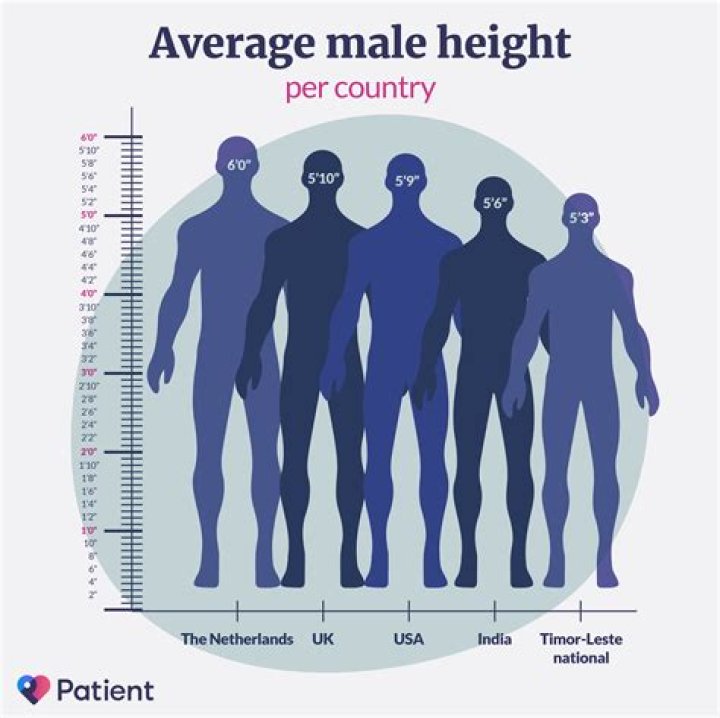 What is the unit of measuring the height of a human?
