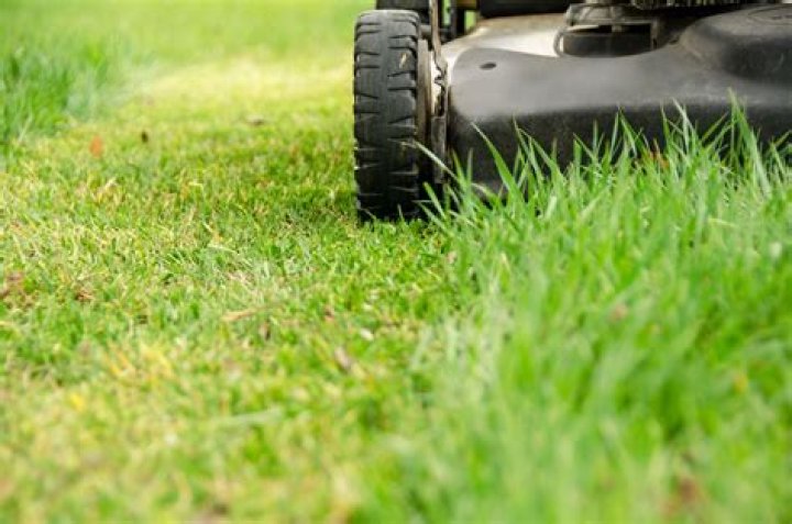 What is your job title if you cut grass?