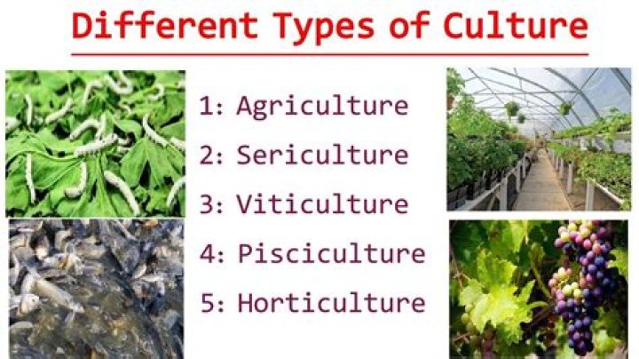 What jobs are related to horticulture?