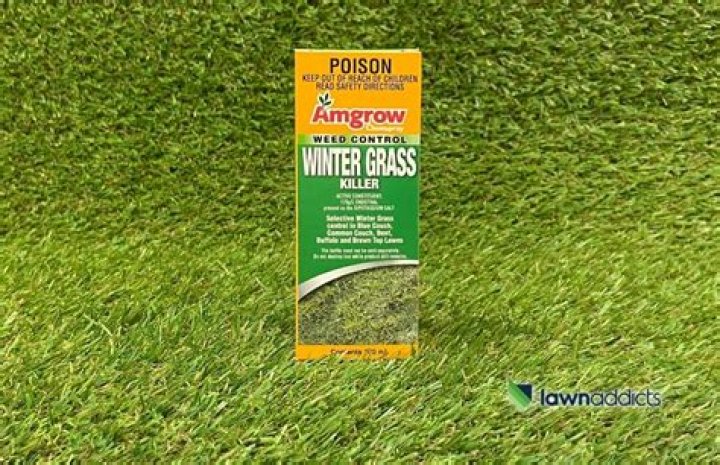 What kills couch grass in lawns?