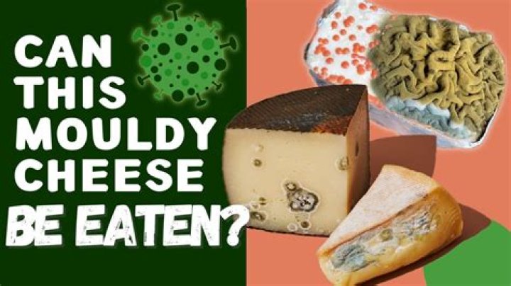 What kind of cheese can you eat that is moldy?