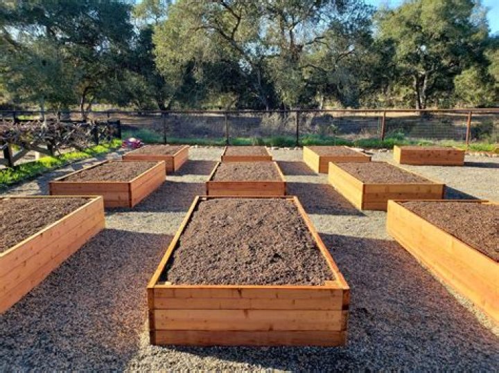 What kind of dirt should I use to grade my yard?