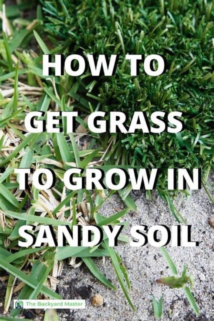What kind of grass grows best in wet soil?