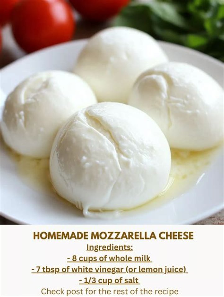What kind of milk do you use to make mozzarella cheese?