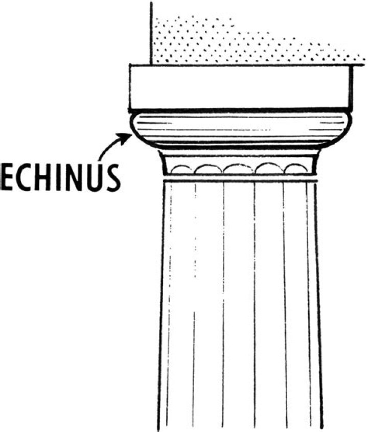 What kind of moulding is the echinus?