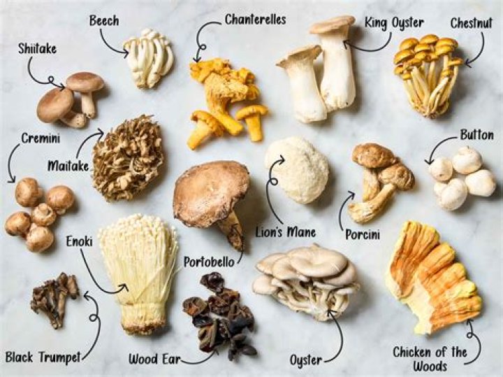 What kind of mushrooms grow on oak logs?