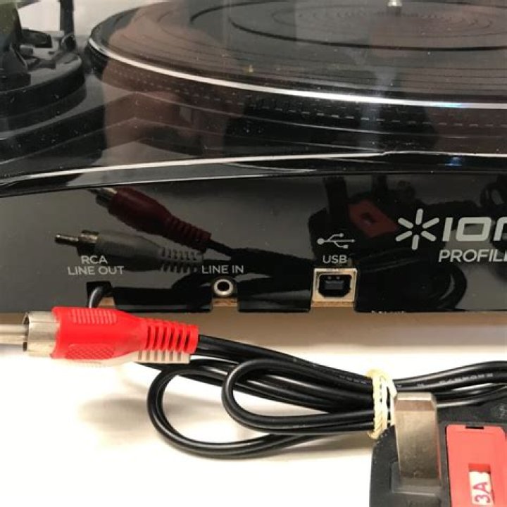 What kind of software does ion USB turntable use?