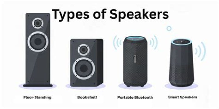 What kind of speakers work with Denon heosavrsr?