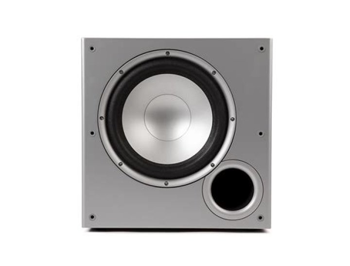 What kind of subwoofer does PSW 10 have?