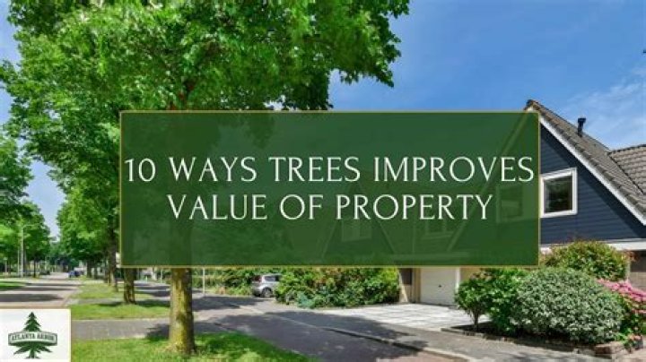 What kind of trees increase property value?