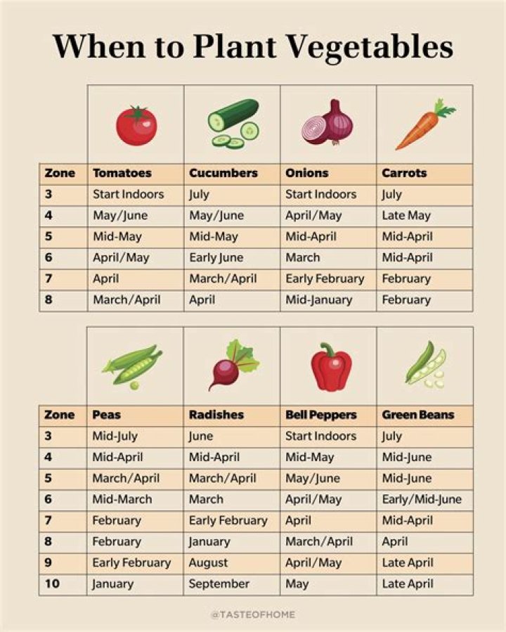 What kind of vegetables can you grow every year?