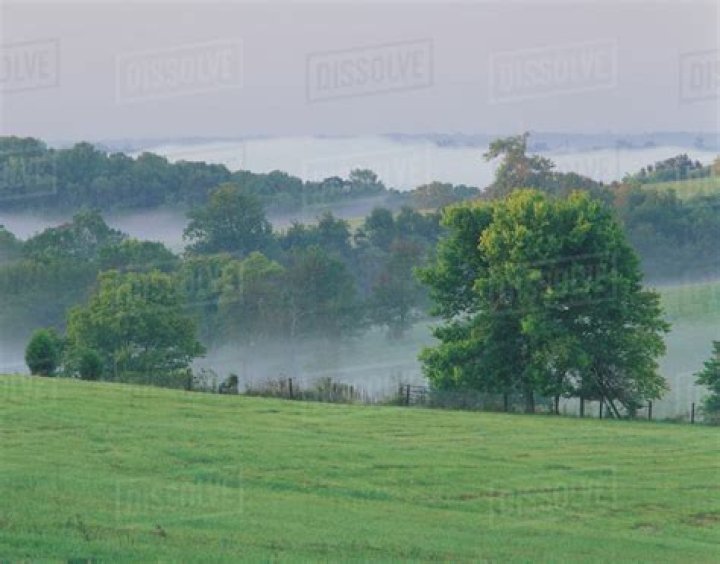 What landforms are in the Bluegrass region?