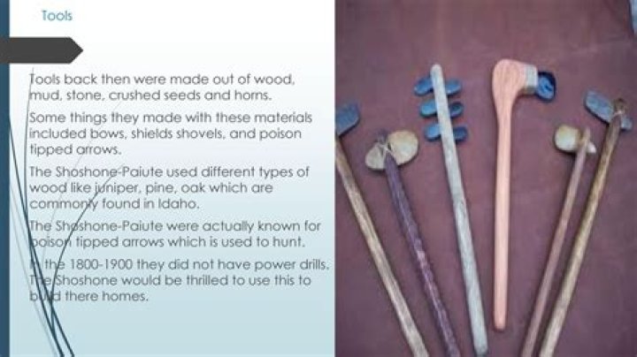 What materials did the Shoshone tribe use?