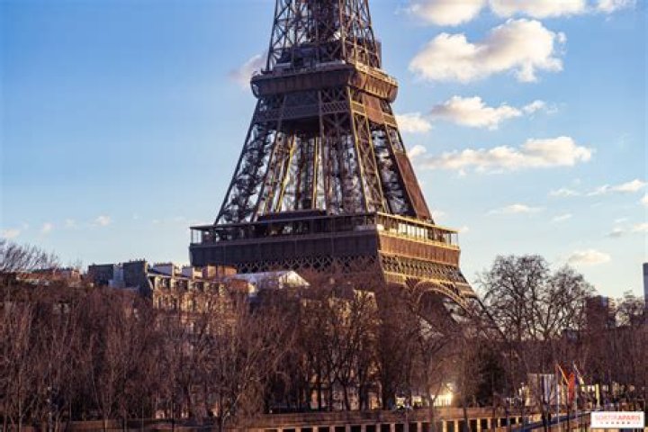 What materials were used in the Eiffel Tower?