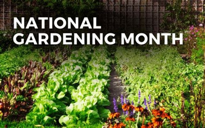 What months do I treat my lawn?