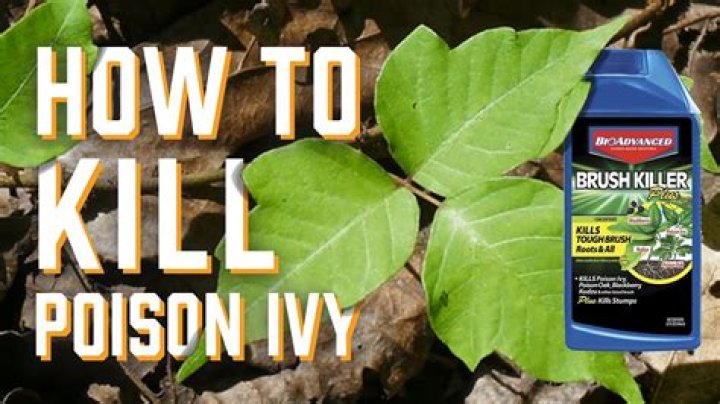 What natural product kills ivy?