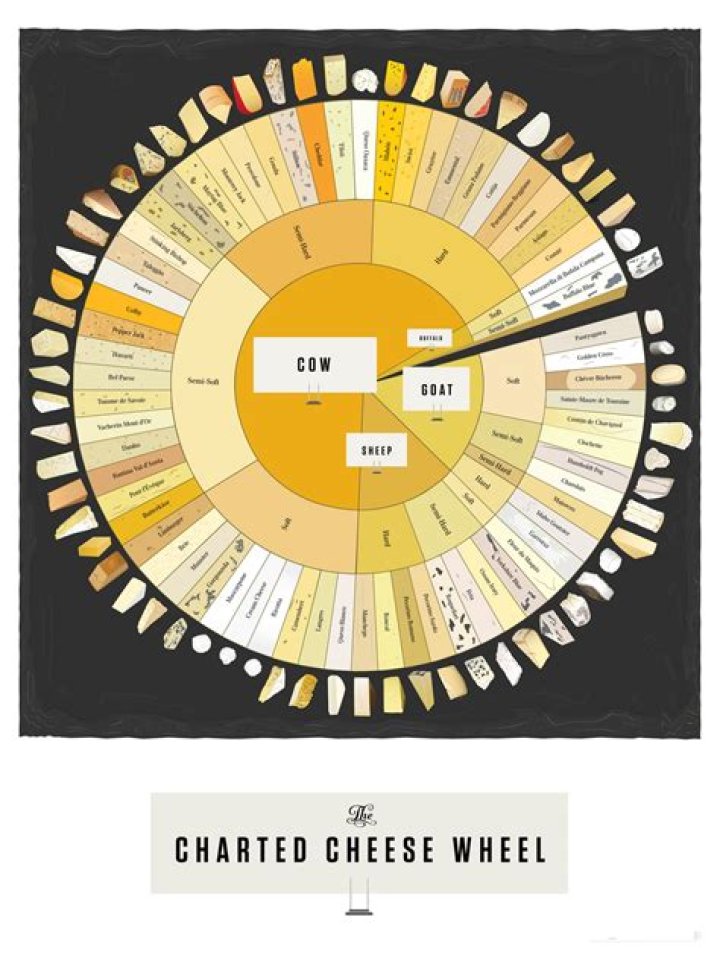 What natural resource does cheese come from?