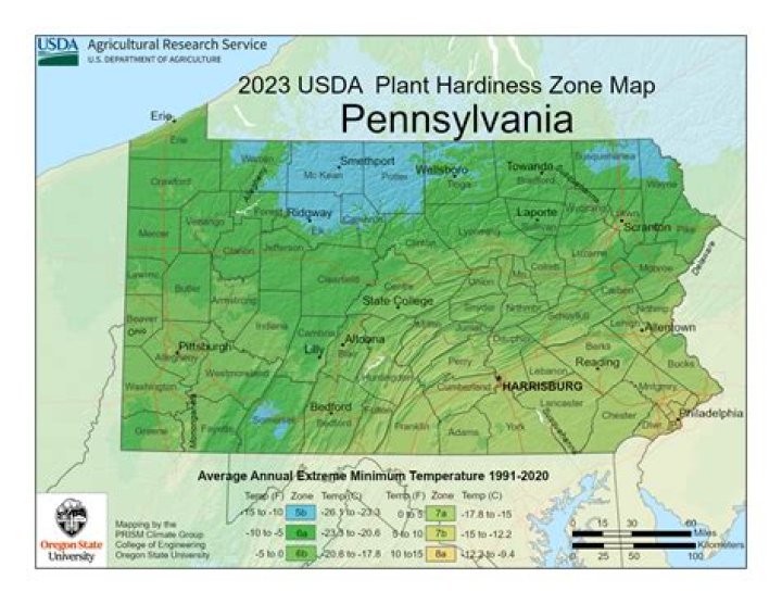 What planting zone is Wayne PA?