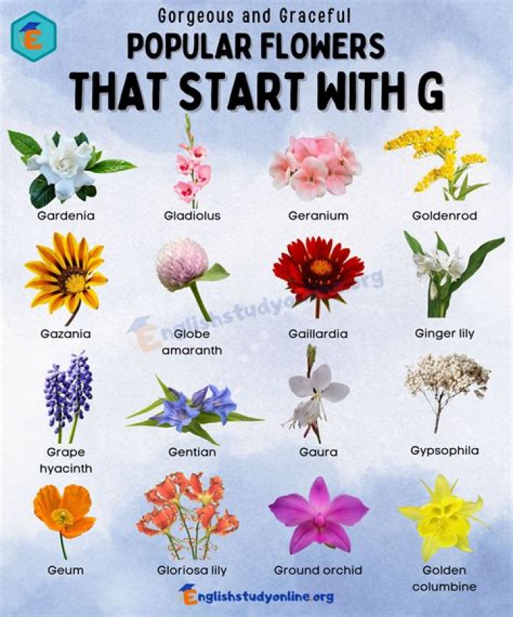 What plants begin with G?