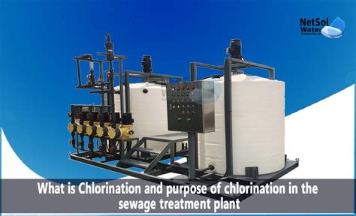 What plants can handle chlorinated water?