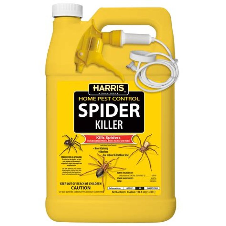 What poison kills spiders?