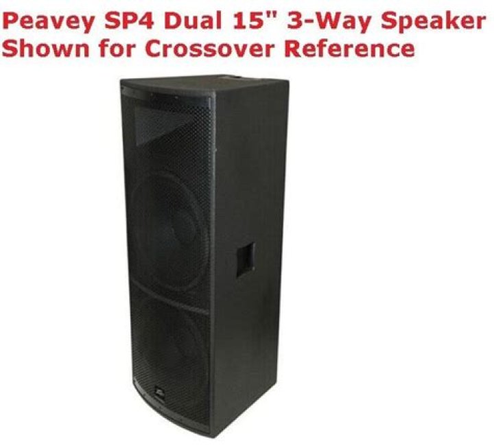 What should I replace my Peavey SP4 speaker with?